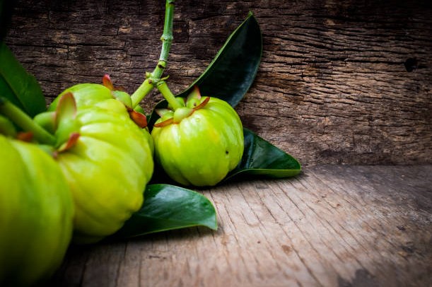 Garcinia Cambogia