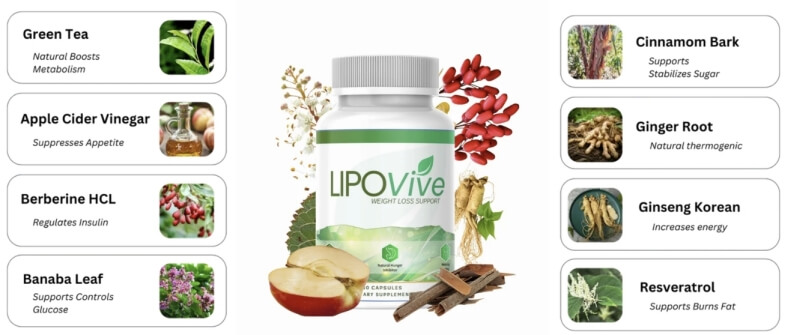 Composizione e ingredienti Composizione e ingredienti